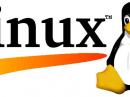 Tux the Penguin, the Linux mascot. [©1997 by Andreas Dilger, used by permission]